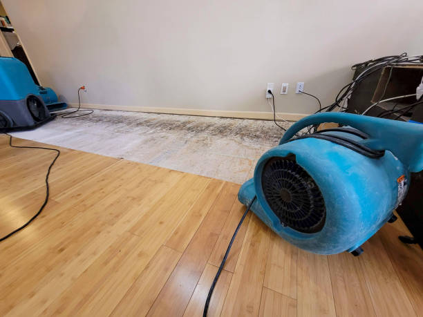 Professional Water Damage Repair technician working in Lamont, WA